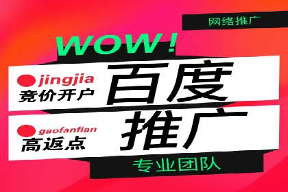 百度竞价排名案例解析：如何快速提升网站流量